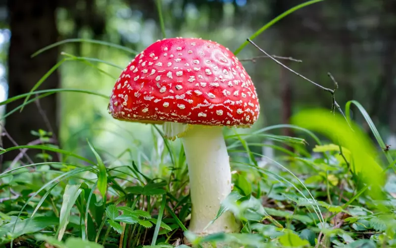 挽回爱情, 千万不能踩的八大致命雷区, 条条硬伤！