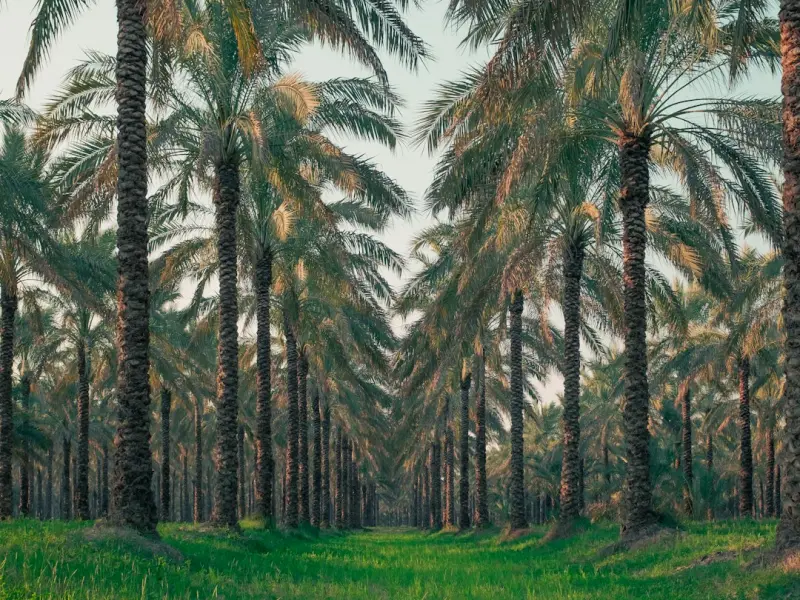 挽回禁区，以下两点千万别碰！！