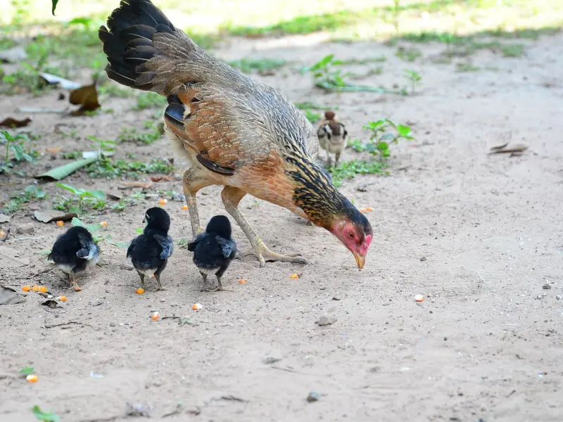 挽救婚姻，我是这样帮她们的，其实只需做到这两点。
