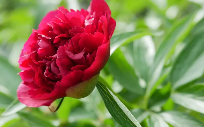 挽回婚姻，你可能踩中了这五点雷区