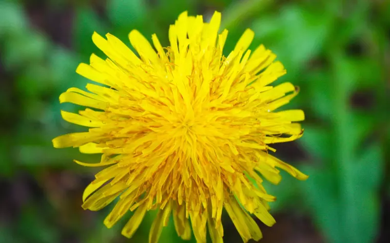 挽回感情之学会从不同角度去了解男人