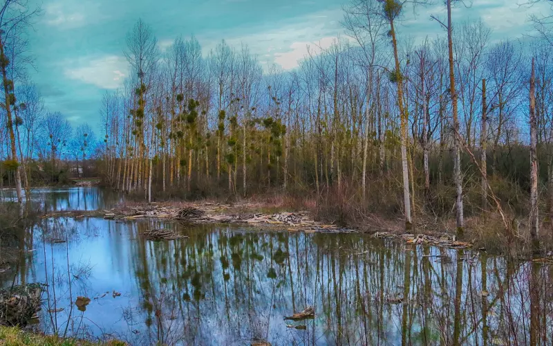 挽回感情，有几点是必须要做到的