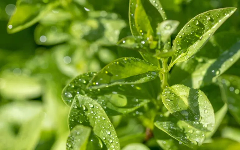 挽回真爱，你只需要这一招！