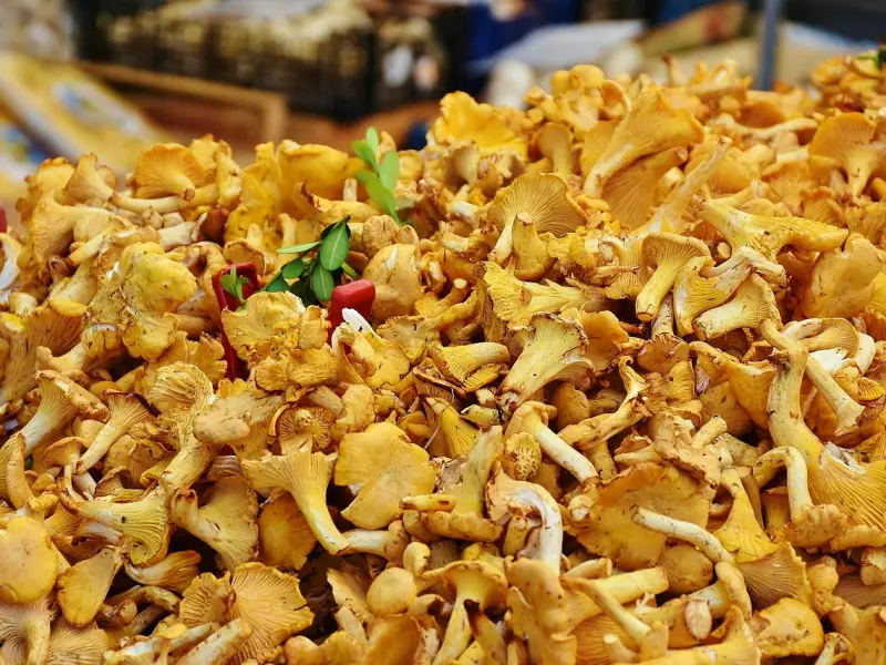 真正的惦记一个人，是发自内心的思念！