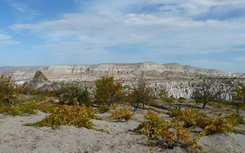 挽回金牛座男友，这几招，挽回金牛座前男友的成功率大大提升