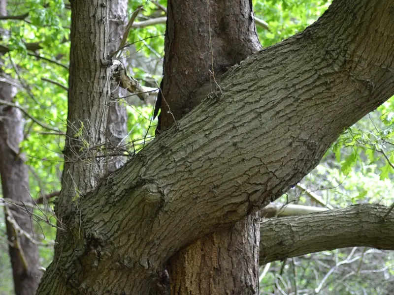 挽回水瓶座女友：挽回水瓶座女友，掌握这三点，必然挽回她