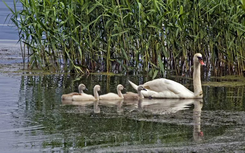 挽回旧情人，要抛弃这四样东西