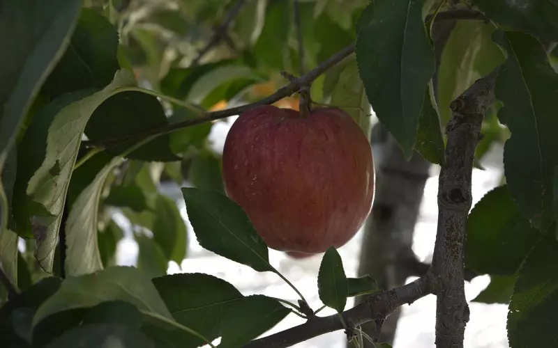 挽回爱情：说好挽回女友的话，不只是道歉这么简单