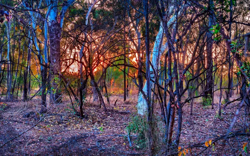 挽回男友：我应该接受父母不同意这个分手理由么