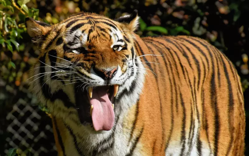 挽回男友：男友找我分摊房租，这样做合理吗？