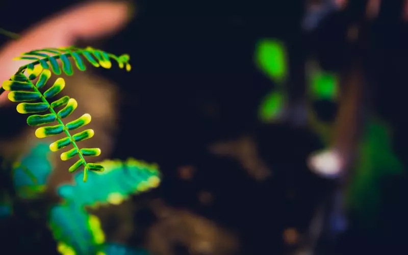 挽回男友：男友总是对我不专一