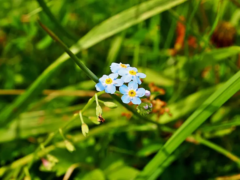 挽回女友：女友犹豫还要不要和我在一起，害怕拖累我
