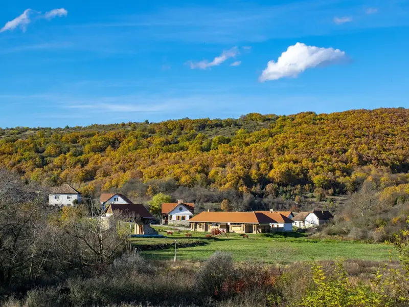 挽回女友：女友突然对我很冷淡，让自己好好反省