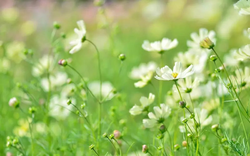 挽回女友：女友一边说爱我，一边又加前任的微信