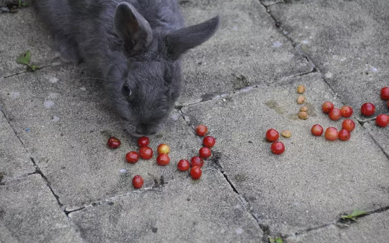 挽回女友：善意的谎言都给女友拆穿，如何让女友对我有信心？