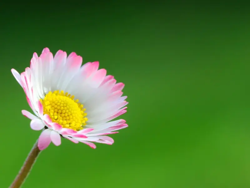 挽回女友：一次次失信于女友，她觉得我们不合适，给不了她想要的未来