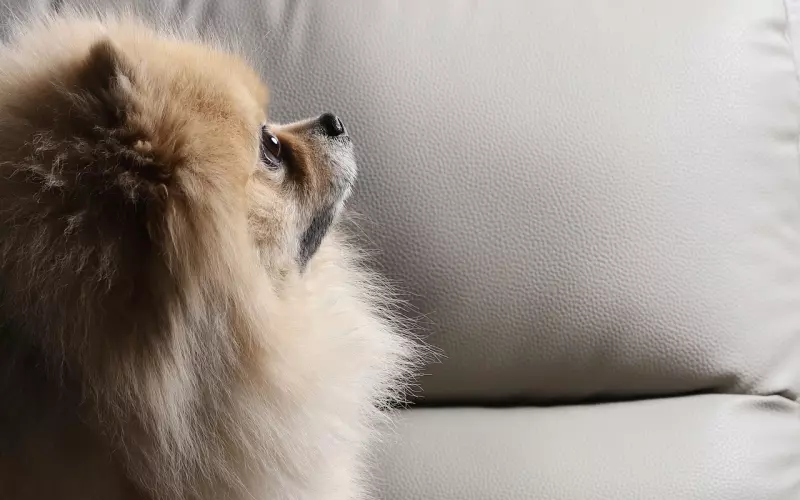 挽回心爱的人，要从这两点入手