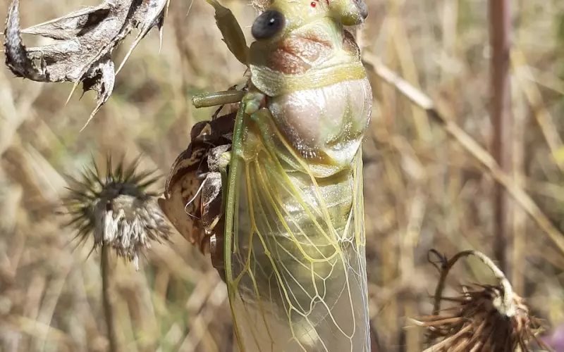 挽回男友，与其想着改变他不如自我改变