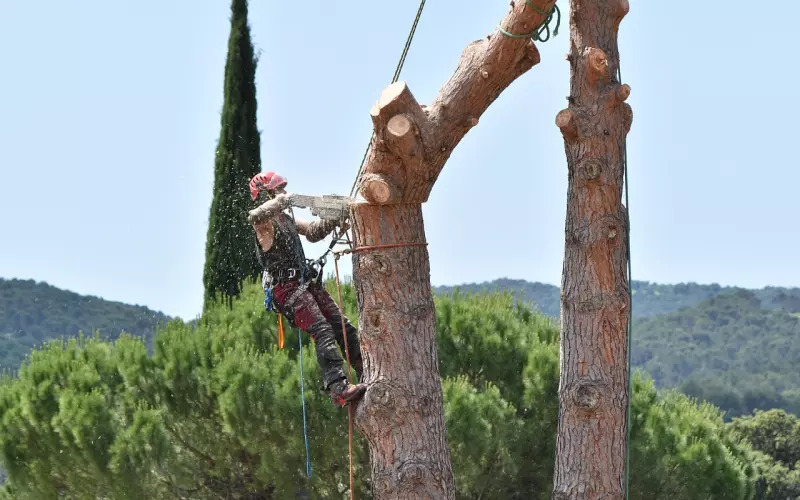 男友挽回：只有出其不意才能挽回金牛男