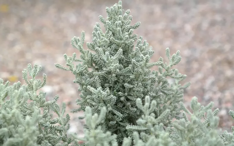 挽回男友：复合期男友冷淡怎么升温感情？