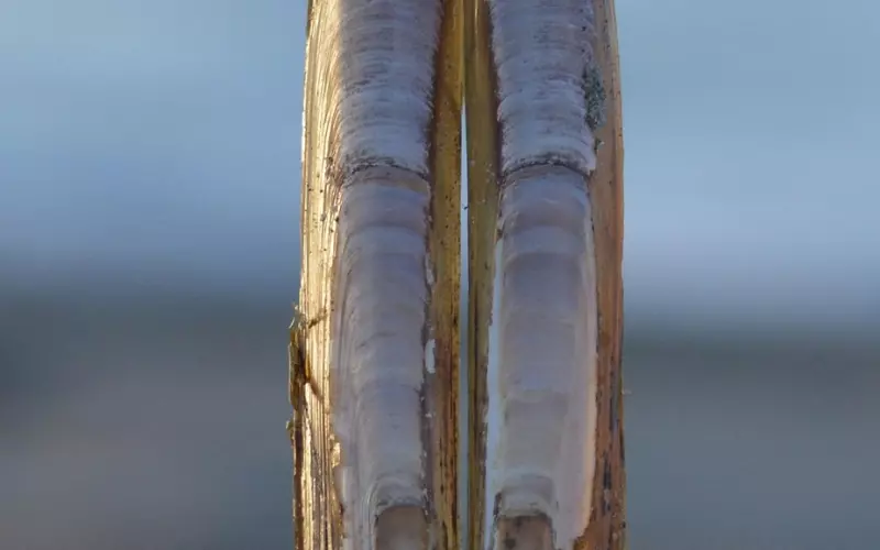 挽回男友要学会给予对方安全感!