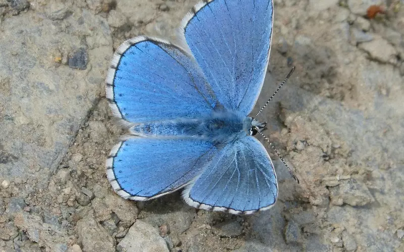 挽回男友要审视自己是不是在伪高位