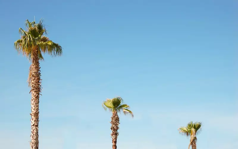 挽回男友要把握好分手后挽回的三个时期