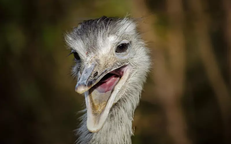 挽回男友千万不能硬碰硬！