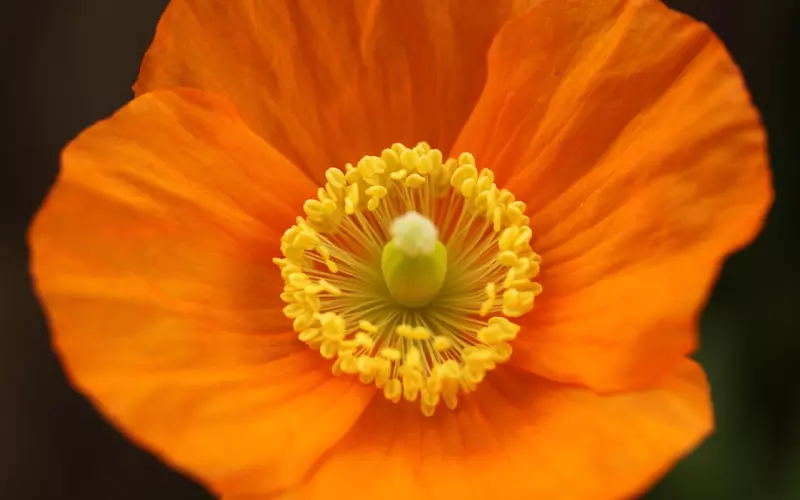 挽回男友需要注意低价值的挽回行为