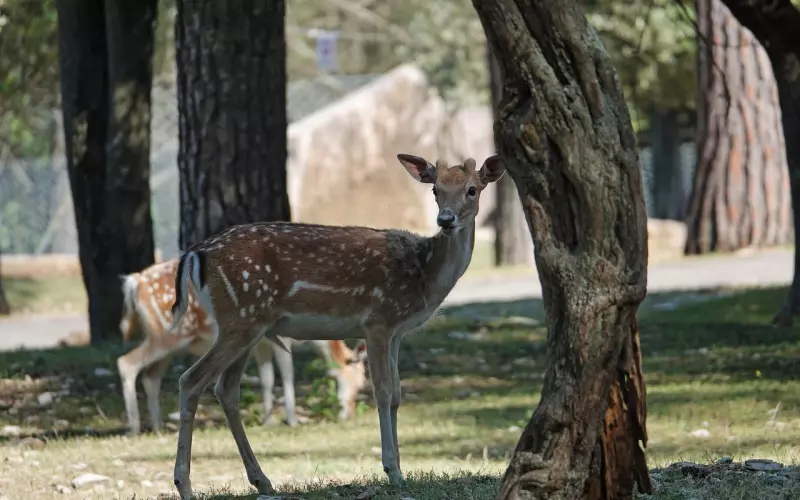 挽回男友的心，你知道他需要什么吗？