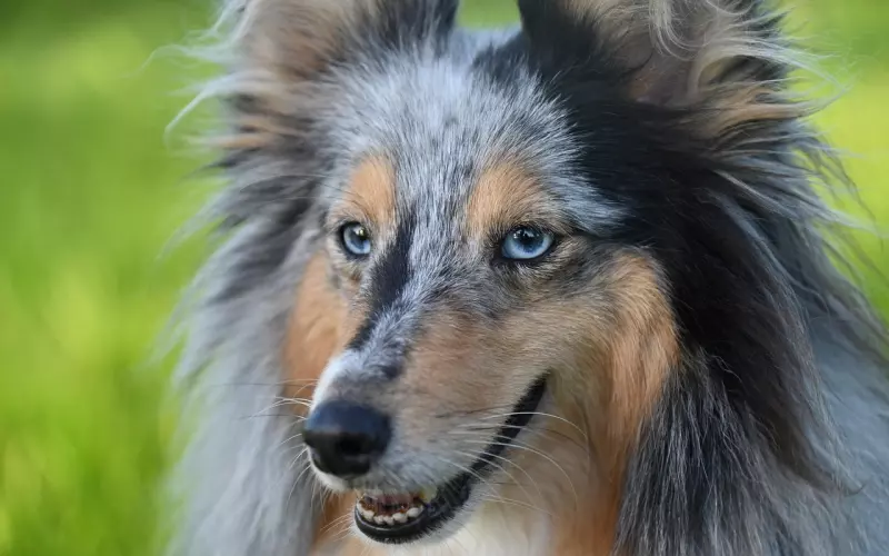 挽回男友 你得先学会做一个女人