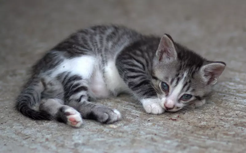挽回男朋友，千万不能博取同情心