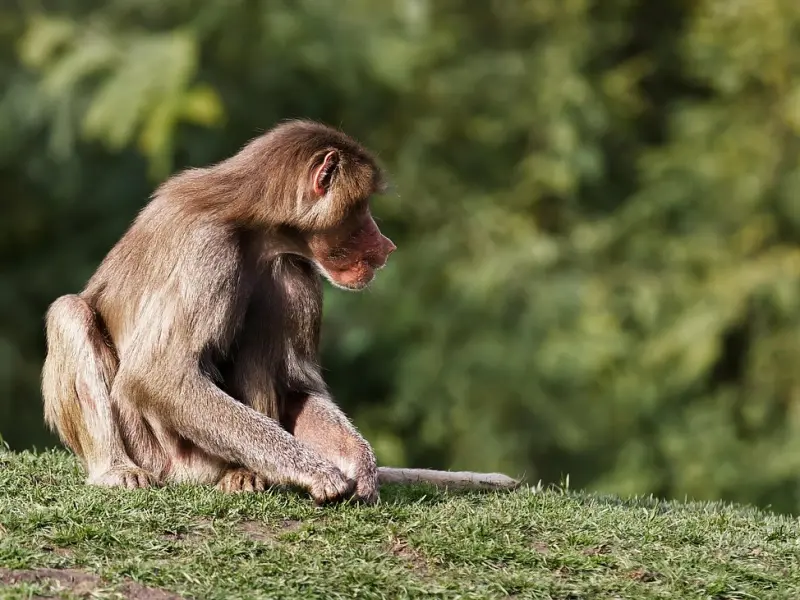 分手挽回前男友，这些低情商的行为不要做