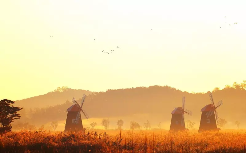 挽回前男友，这些错千万不能犯！