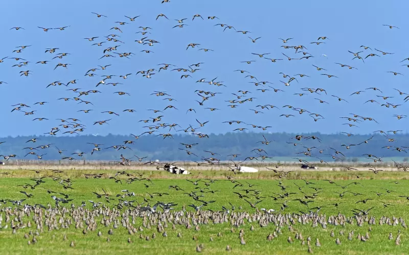 挽回前任：千万不要感情用事，最好是学会这个方法