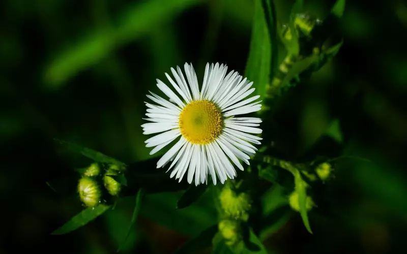 挽回前任，先学会这样的手段
