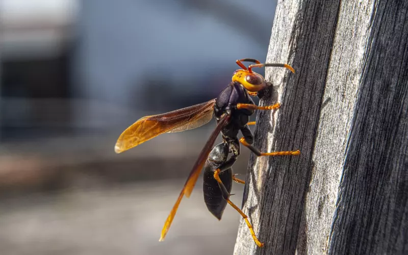 挽回前任，先从普通朋友开始，到感情加深，再到复合