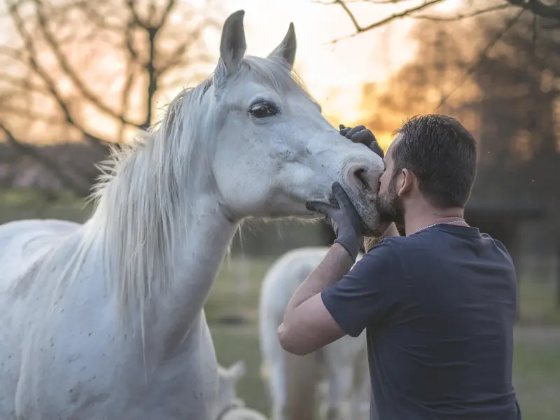 挽回前任，最不能错过的2个挽回黄金时间点。