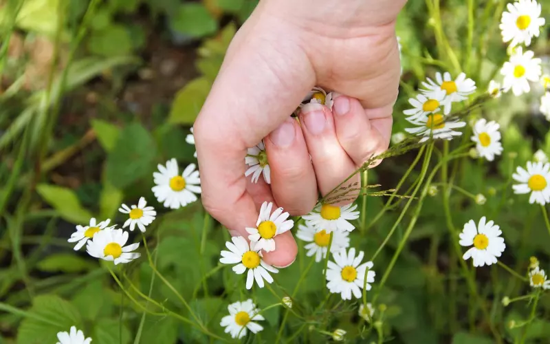挽回前任，对症下药，方能水到渠成
