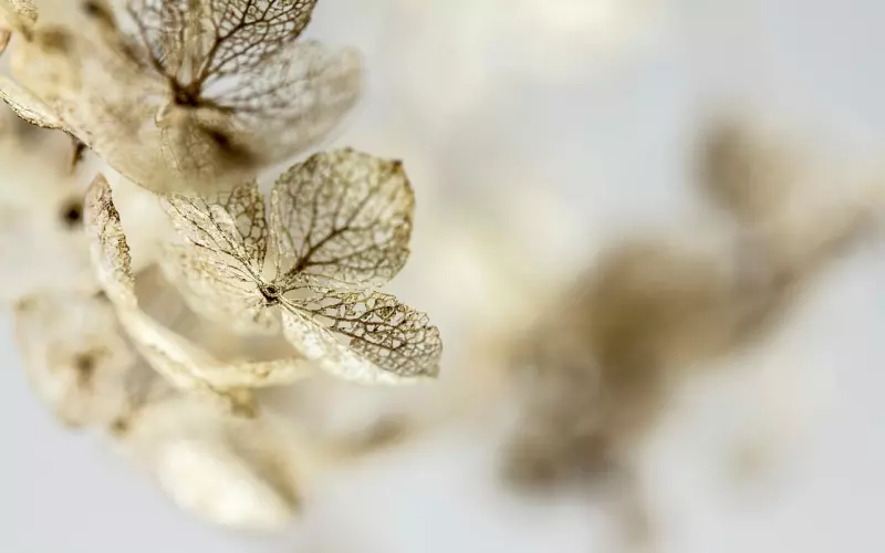 挽回女朋友，你得这么干！