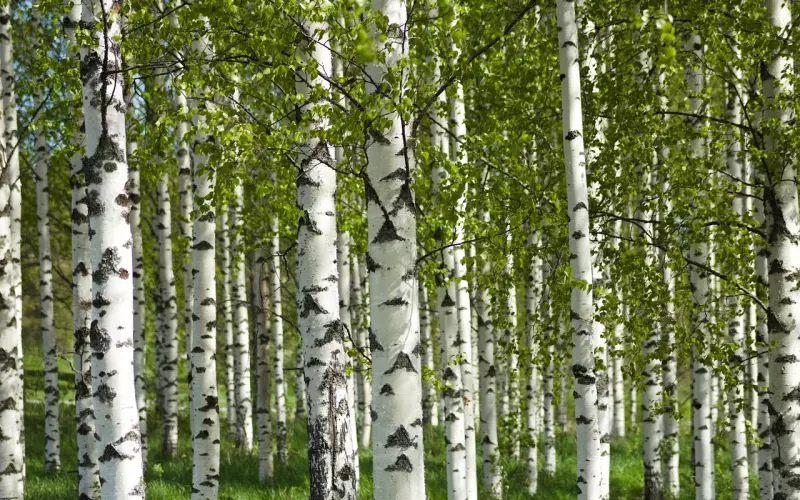 挽回女友切勿走进“自尊”误区