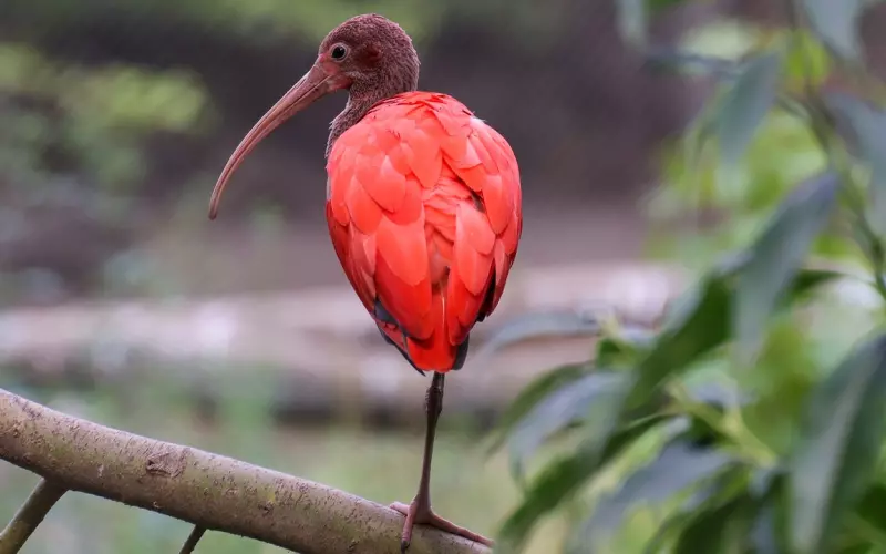 挽回女友：挽回对你失望的女朋友，这里有挽回女友必杀技