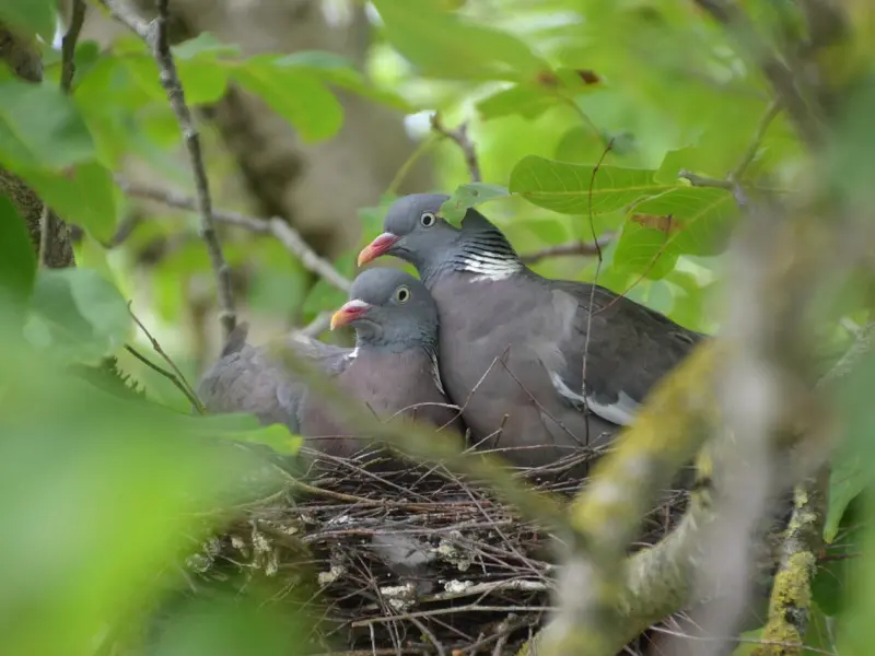 挽回女友：成功挽回女友的做法，这样挽回女友靠谱