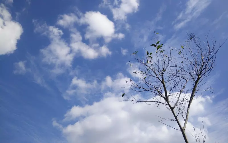 挽回女友：成功挽回女友的话都是这么说的！