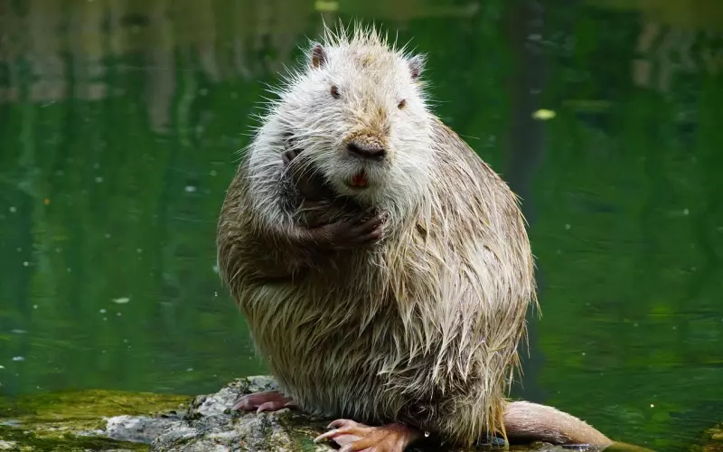 挽回女友：想和女朋友分手，怕到伤害她，怎么办？