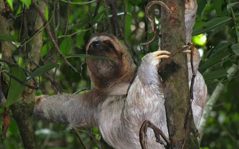 挽回女友：将要结婚的女友很懒，想改变一下她的这种懒惰的性格