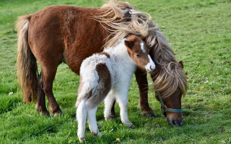 挽回老公：要想挽回老公，你得先让自己有魅力