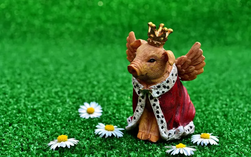 挽回老公的心，老公出轨了怎么办，女人该如何守护自己的幸福？