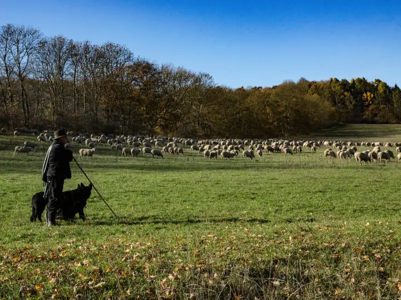 挽回星座男友：挽回白羊男哪招最管用