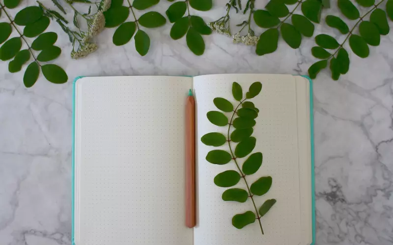 要挽回男友，给他写封情书吧